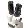 Микроскоп LEVENHUK 2ST, бинокулярный 35322